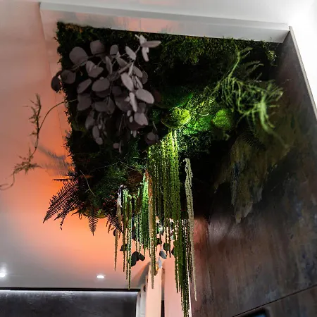Le Vulcano : Duplex Lounge ! *